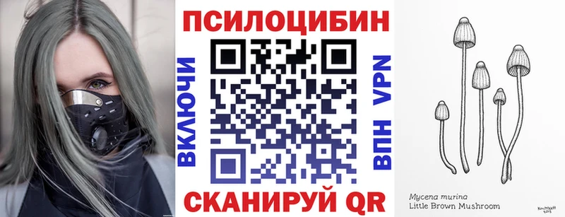 Псилоцибиновые грибы GOLDEN TEACHER  где купить наркоту  Сыктывкар 